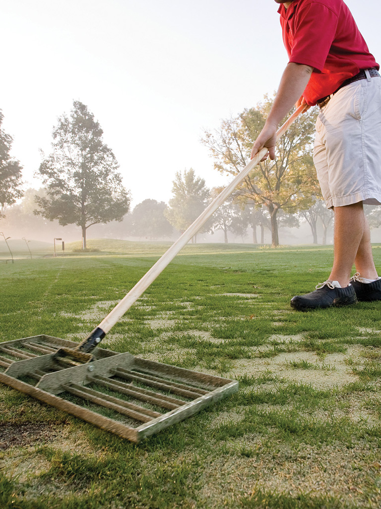 Maintenance & Turf